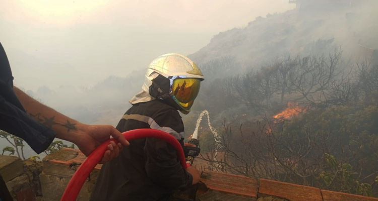 الناطق باسم الحماية المدنية: اندلاع حرائق بمناطق متفرقة من الجمهورية أخطرها بملولة