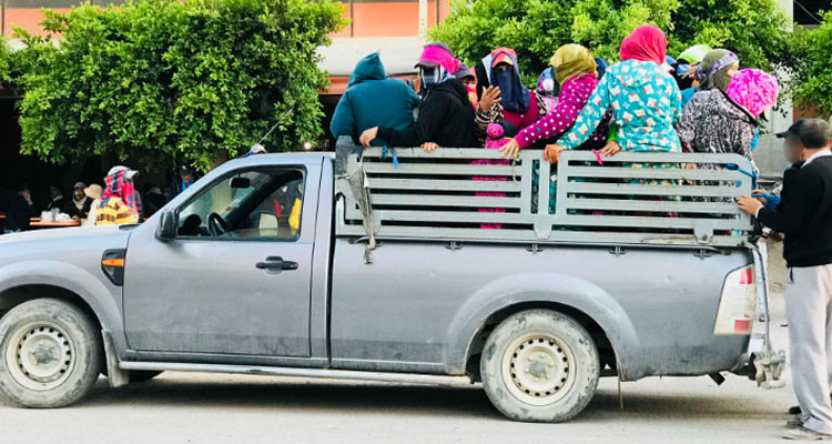 بعد وفاة عاملة فلاحية في سيدي بوزيد: النيابة العمومية تتحرك