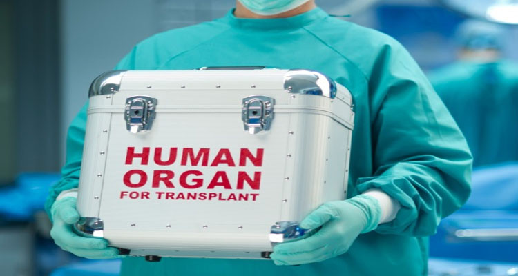 القصرين: الاحتفاظ بـ6 مشتبه بهم ينتمون الى شبكة تنشط في بيع الأعضاء البشرية 