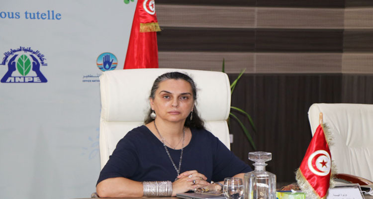 وزيرة البيئة تتعهد بالإحاطة التقنية بالشركات الأهلية في المجال البيئي