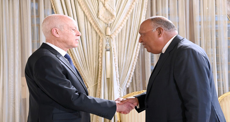 رئيس الدولة يعرب عن حرص تونس على مزيد تعزيز علاقات الأخوة والتعاون مع مصر