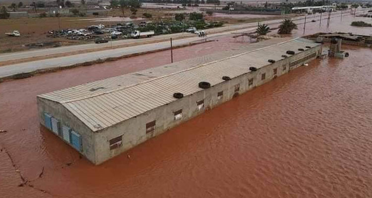 رئيس الجمهورية يأذن بتقديم يد العون للشعب الليبي الشقيق