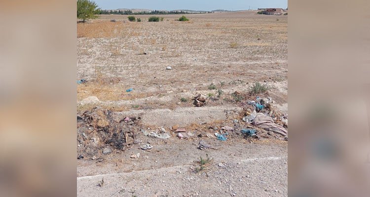 استرجاع 3 عقارات دولية فلاحية بمساحة جملية قدرها 17 هك بولاية منوبة