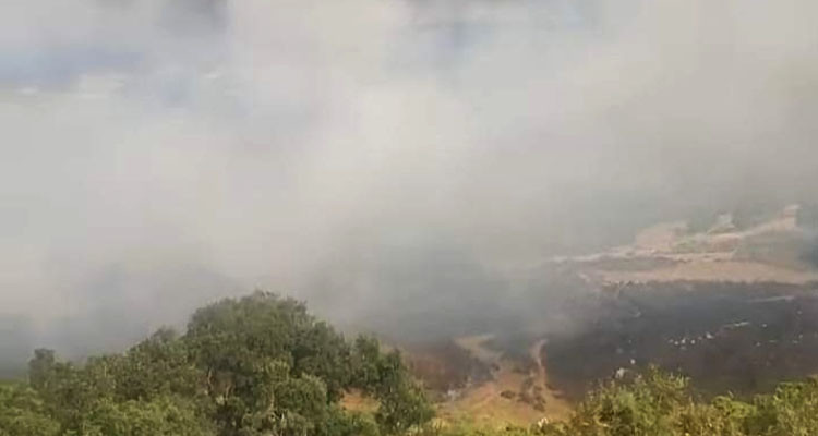 نابل: السيطرة على حريق بغابة جبل سيدي عبد الرحمان 