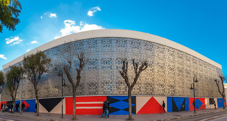 المعهد الفرنسي بتونس يطلق مشروع لرسم لوحة جدارية جماعية