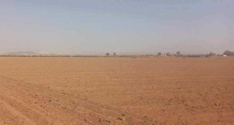 زغوان: استرجاع 3 عقارات دولية فلاحية بالفحص على مساحة 27 هكتارا