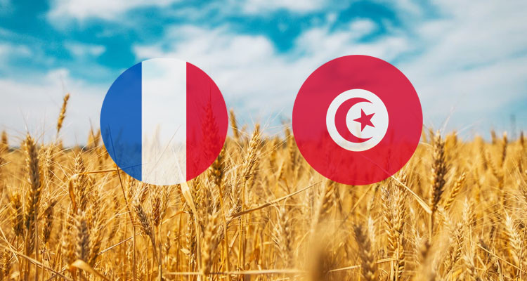 فرنسا تعتزم تزويد تونس بـ35% من حاجياتها من القمح اللين و50% من الشعير