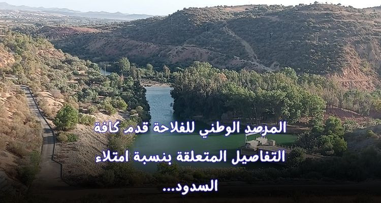 نسبة امتلاء السدود تبلغ 23.5 بالمائة إلى غاية يوم 15 ديسمبر 2023