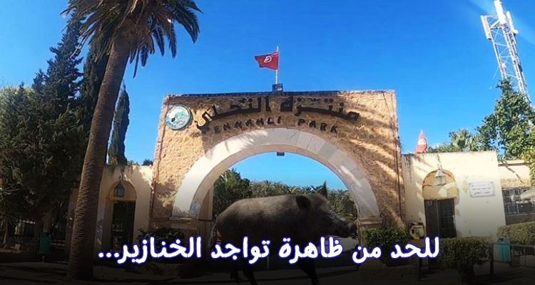 منتزه النحلي يغلق أبوابه يوم 20 ديسمبر للحد من ظاهرة تواجد الخنزير