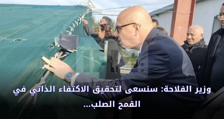 وزير الفلاحة: سطرنا هدف لتحقيق الاكتفاء الذاتي في القمح الصلب