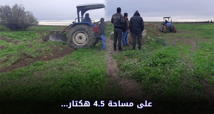 بنزرت: إتلاف كميات من الخضر الورقية المروية بالمياه المعالجة بضيعة في عوسجة