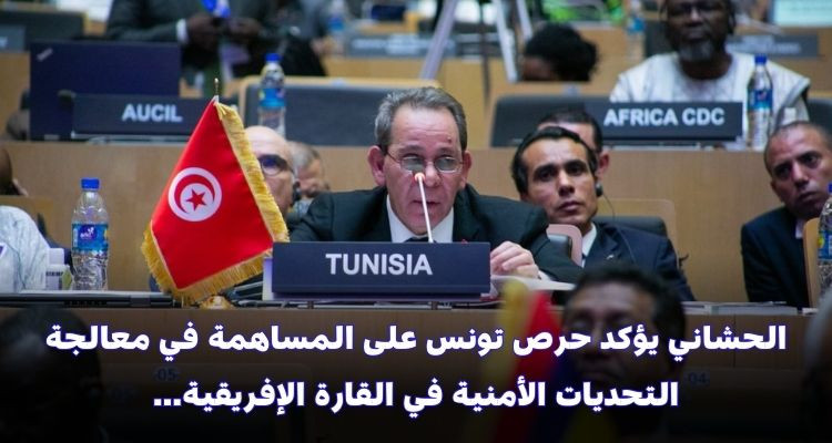 الحشاني يؤكد حرص تونس على المساهمة في معالجة التحديات الأمنية في إفريقيا