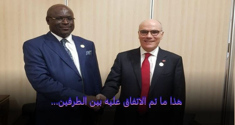 تحديات الهجرة غير النظامية محور لقاء عمار بنظيره الغابوني
