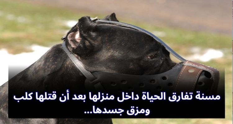الحمامات-المرازقة: مسنة تفارق الحياة داخل منزلها بعد أن قتلها كلب ومزق جسدها