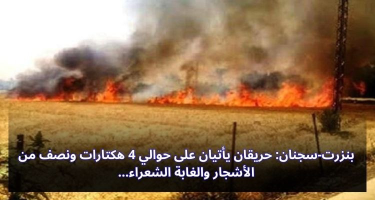 بنزرت-سجنان: حريقان يأتيان على 4 هكتارات ونصف من الأشجار والغابة الشعراء
