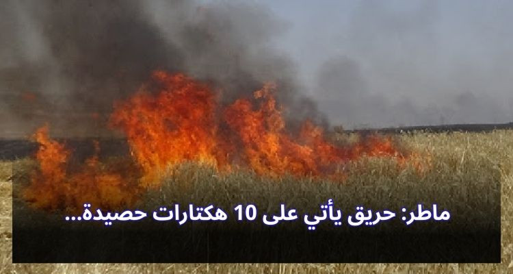 ماطر: حريق يأتي على 10 هكتارات حصيدة