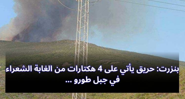 بنزرت: حريق يأتي على 4 هكتارات من الغابة الشعراء في جبل طورو  