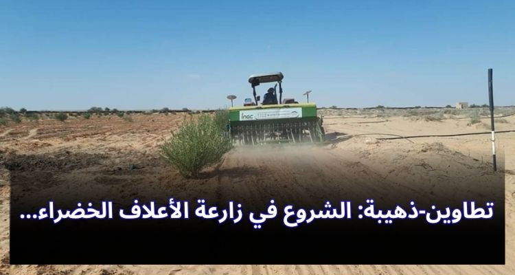 تطاوين-ذهيبة: الشروع في زارعة الأعلاف الخضراء