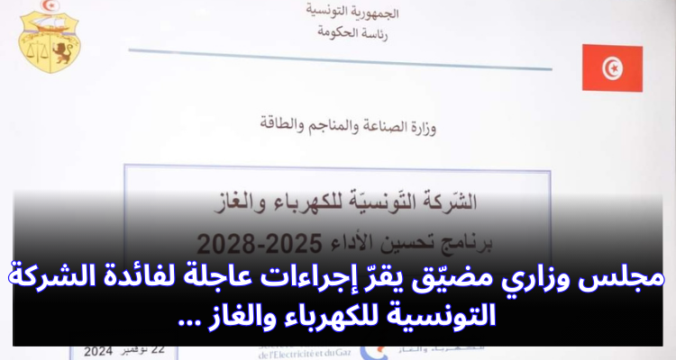 مجلس وزاري مضيّق يقرّ إجراءات عاجلة لفائدة الشركة التونسية للكهرباء والغاز