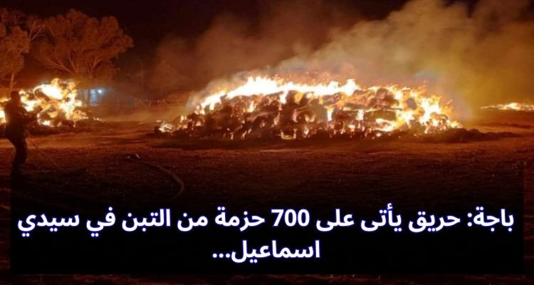 باجة: حريق يأتى على 700 حزمة من التبن في سيدي اسماعيل