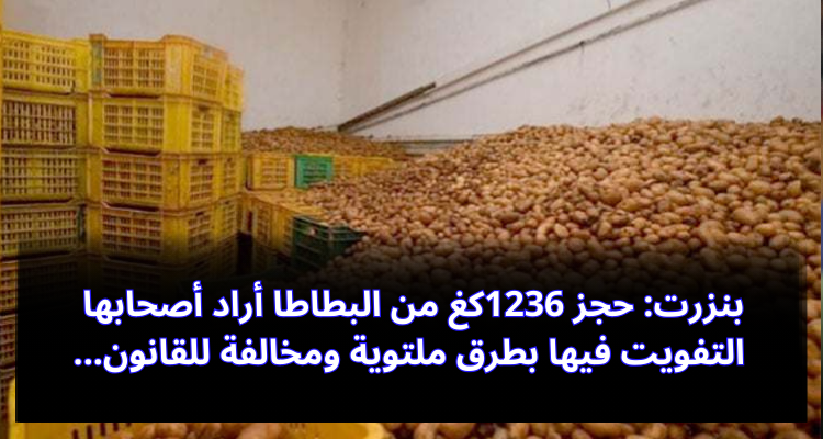بنزرت: حجز  1236كغ  من البطاطا أراد أصحابها التفويت فيها بطرق ملتوية