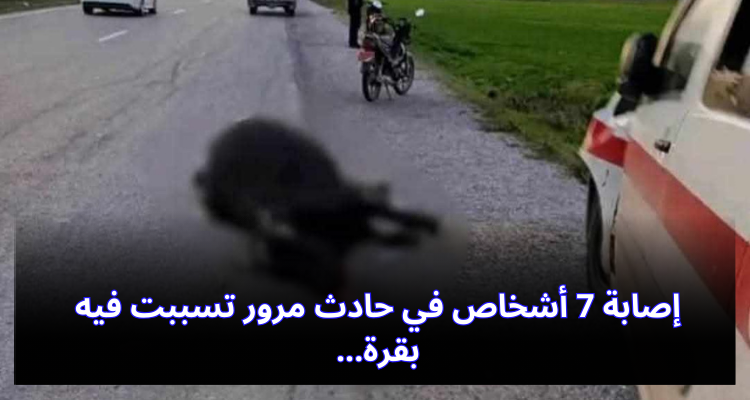 منزل بورقيبة.. إصابة 7 أشخاص  في حادث مرور بسبب بقرة