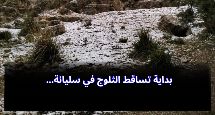 بداية تساقط الثلوج في سليانة