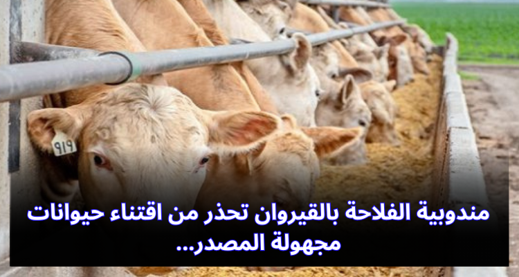 مندوبية الفلاحة بالقيروان تحذر من اقتناء حيوانات مجهولة المصدر