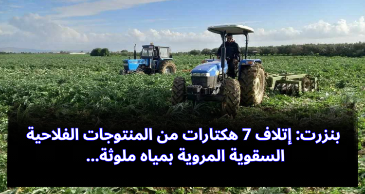 بنزرت: إتلاف 7 هكتارات من المنتوجات الفلاحية السقوية المروية بمياه ملوثة
