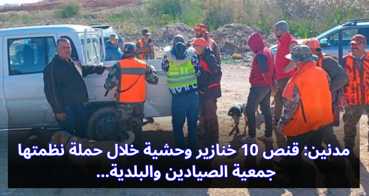 مدنين: قنص 10 خنازير وحشية خلال حملة نظمتها جمعية الصيادين والبلدية