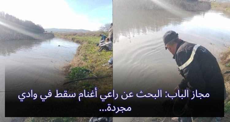 البحث عن راعي أغنام سقط في وادي مجردة