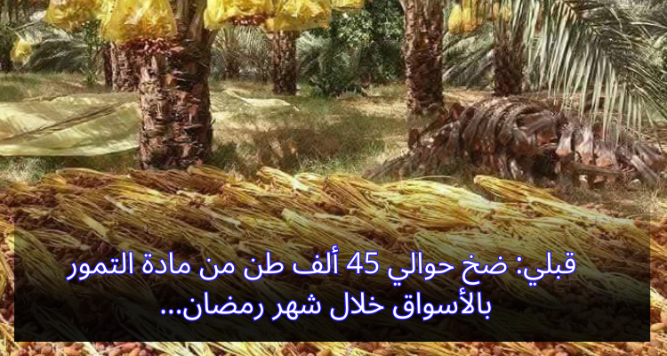قبلي: ضخ حوالي 45 ألف طن من مادة التمور بالأسواق خلال شهر رمضان