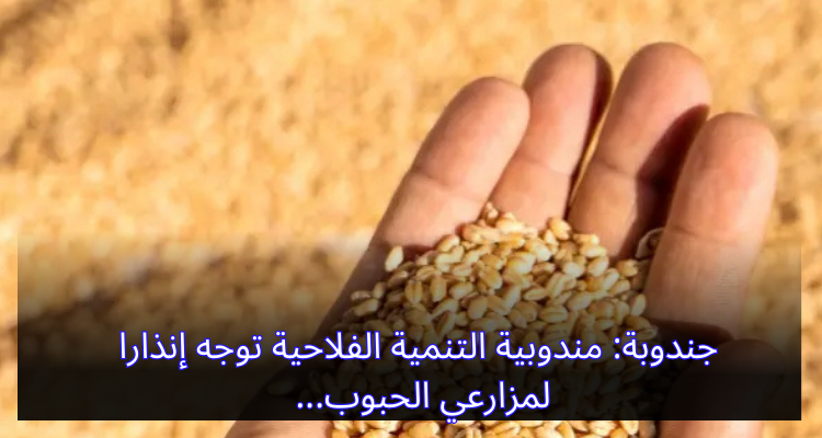 جندوبة: مندوبية التنمية الفلاحية توجه إنذارا لمزارعي الحبوب
