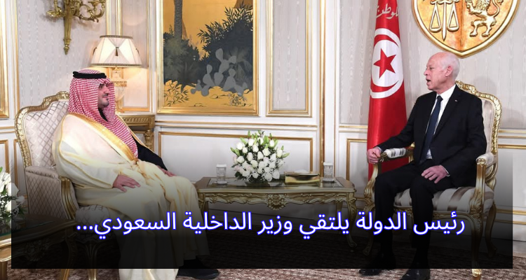 رئيس الدولة يلتقي وزير الداخلية السعودي