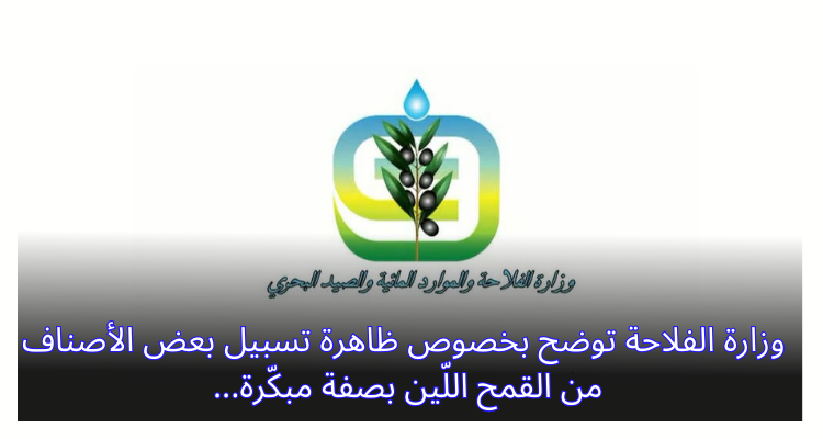 وزارة الفلاحة توضح بخصوص ظاهرة تسبيل بعض الأصناف من القمح اللّين بصفة مبكّرة