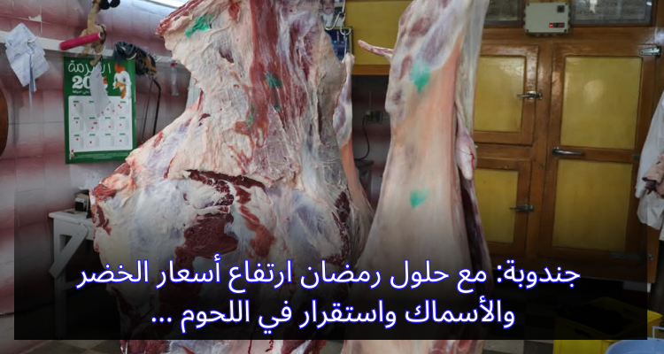 جندوبة: مع حلول رمضان ارتفاع أسعار الخضر والأسماك واستقرار في اللحوم
