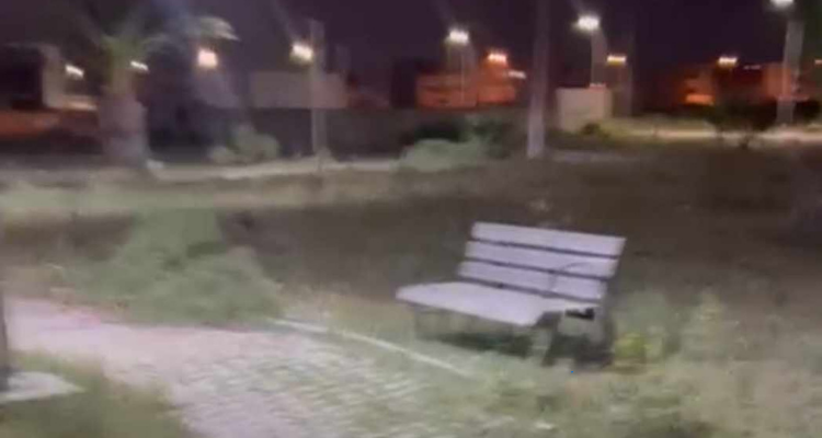 حديقة سليمان تتحول إلى صحراء بعد إنفاق 300 مليون: عبد القادر بن زينب مستاء