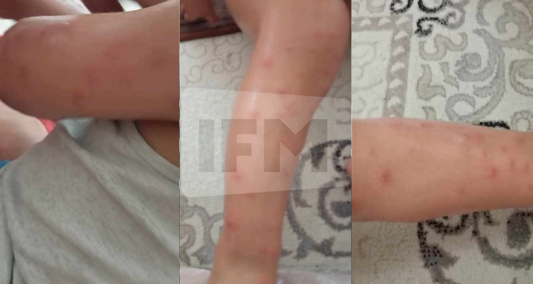 الناموس يغزو مدينة سليمان ومواطنون يطلقون نداء استغاثة للبلدية