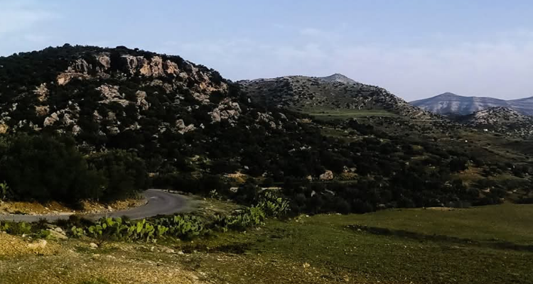 القيروان:  حريق في جبل الريحان بالوسلاتية