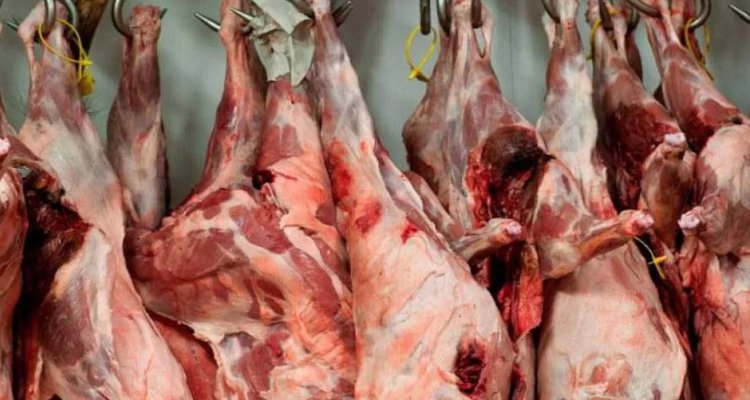 دار شعبان الفهري: حجز أكثر من طنين من لحوم الأبقار الفاسدة وإيقاف صاحب المسلخ