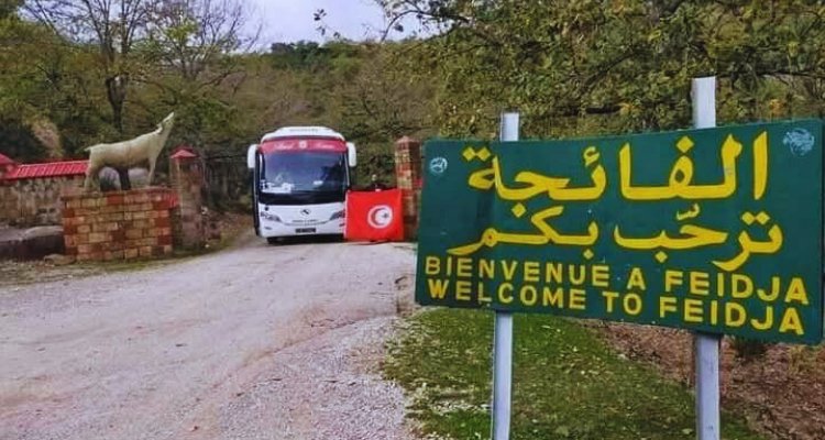 جندوبة: شروط جديدة لزيارة الحديقتين الوطنيتين بالفائجة ووادي الزان