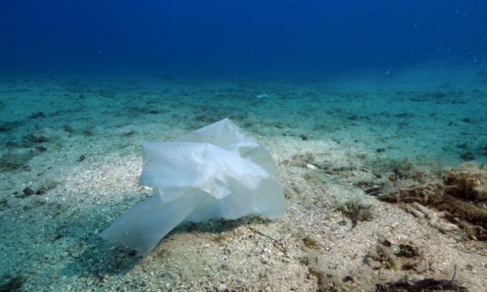 Journée mondiale de la mer 