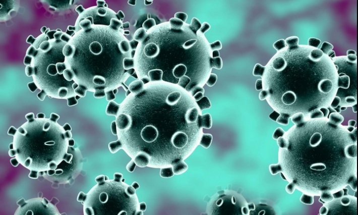 Coronavirus : 204 cas en Tunisie 