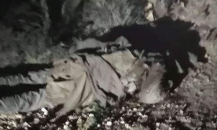 أسماء الإرهابيين المقتولين في جبل السلوم وفق التحريات الأولية