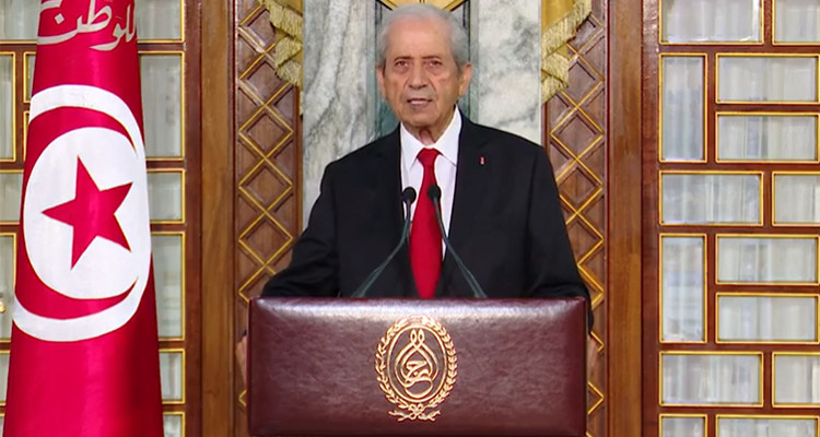 محمد الناصر