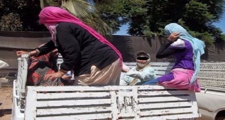 عاملات فلاحيات