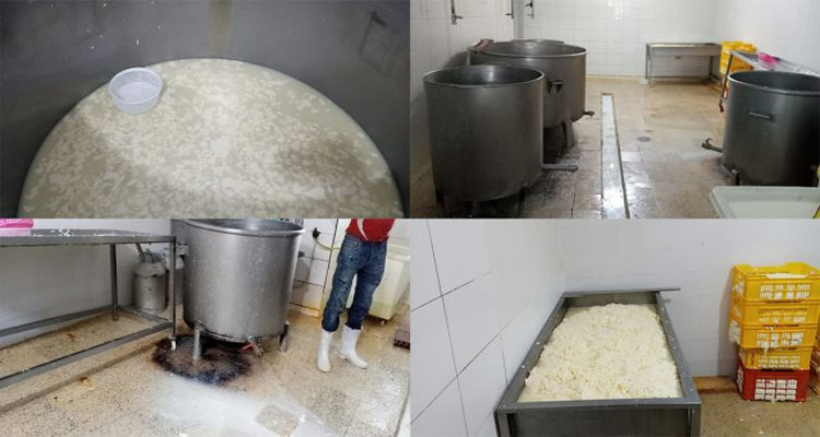 مصنع اجبان