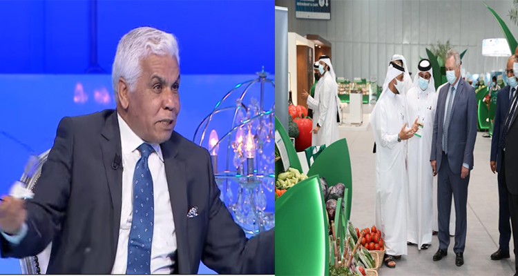 صافي سعيد