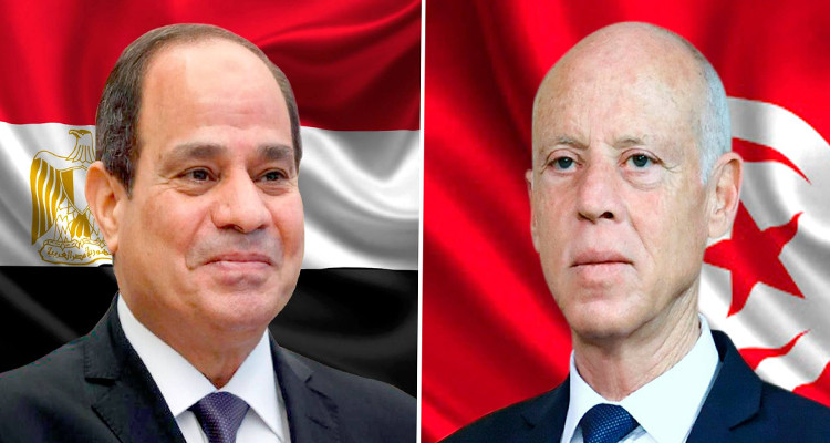قيس سعيد عبد الفتاح السيسي زيارة