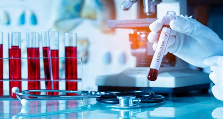 السلالة البريطانية كورونا